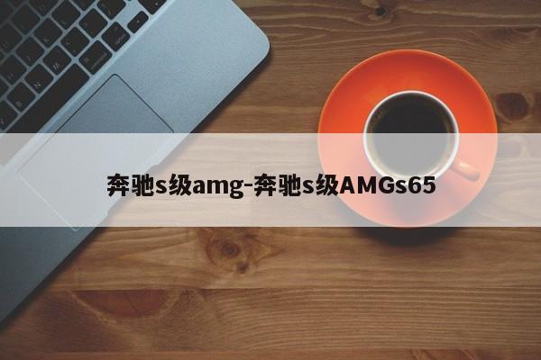 奔驰s级amg-奔驰s级AMGs65