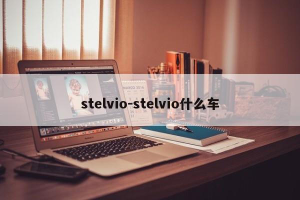 stelvio-stelvio什么车