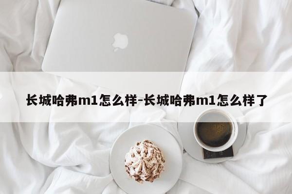 长城哈弗m1怎么样-长城哈弗m1怎么样了