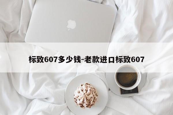 标致607多少钱-老款进口标致607