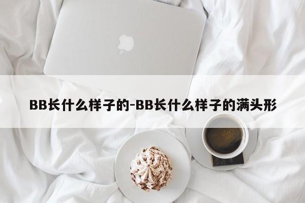 BB长什么样子的-BB长什么样子的满头形