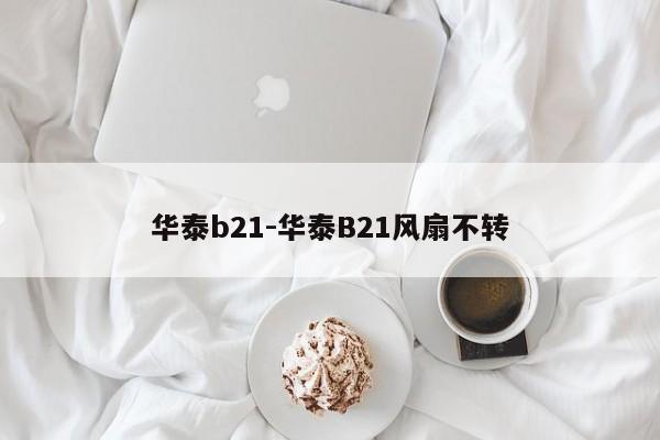 华泰b21-华泰B21风扇不转